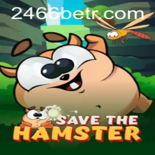 Discover the Exciting World of 'SavetheHamster': Gameplay, Strategies, and More